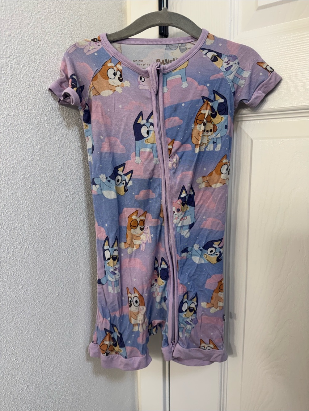 Little Sleepies Purple Bluey Shorty Zippy size 2T